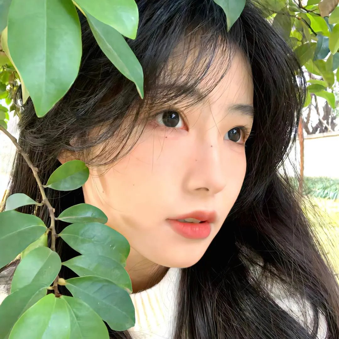 花心情圣